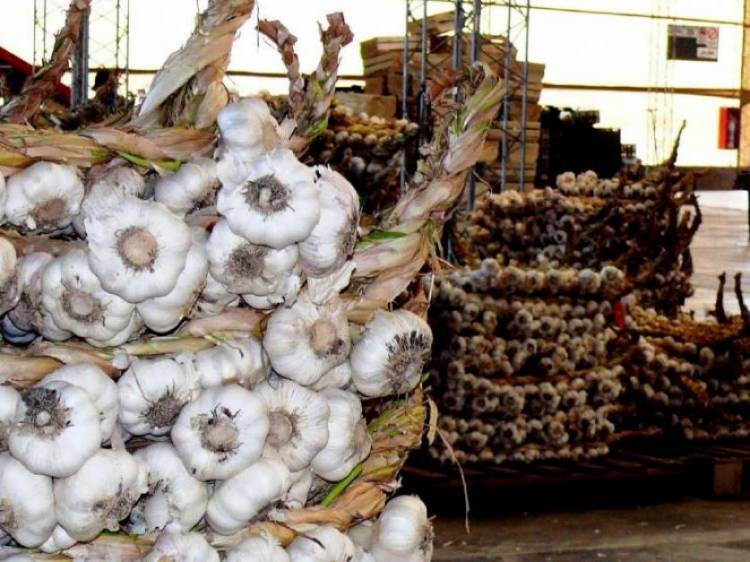 Ministerio de Producción, Trabajo e Innovación: “Las exportaciones tradicionales se recuperaron un 37% en el primer trimestre del año”