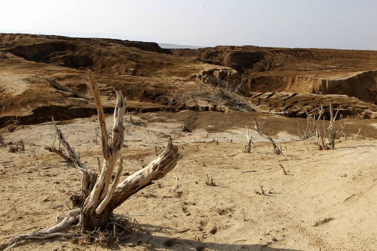 Alerta global: el 78 por ciento de la tierra está más seca que en 1990 y cuáles son las dos regiones argentinas en el “mapa caliente”