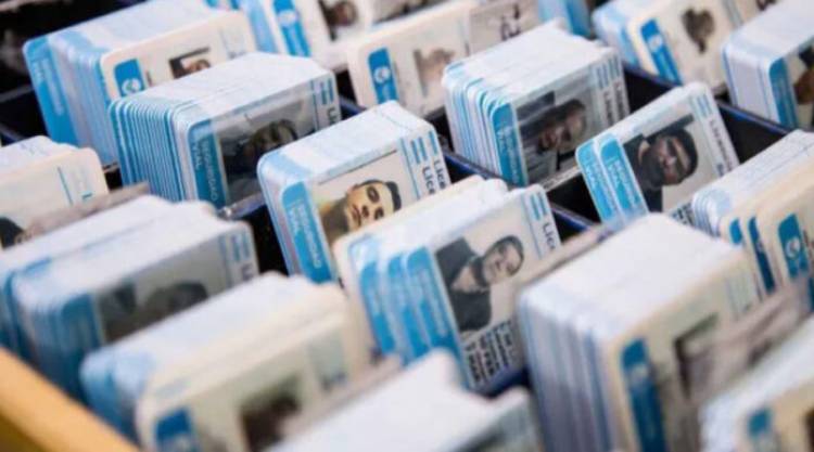Ley de Tránsito: oficializaron más cambios en licencias de conducir profesionales