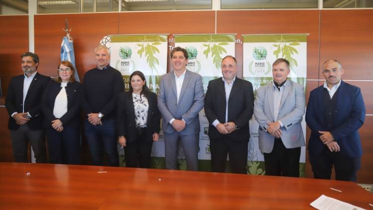 San Juan será sede del certamen que elegirá los mejores aceites de oliva del hemisferio sur
