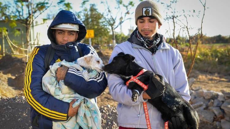 Día Mundial de las Zoonosis: tomar conciencia sobre las enfermedades de los animales