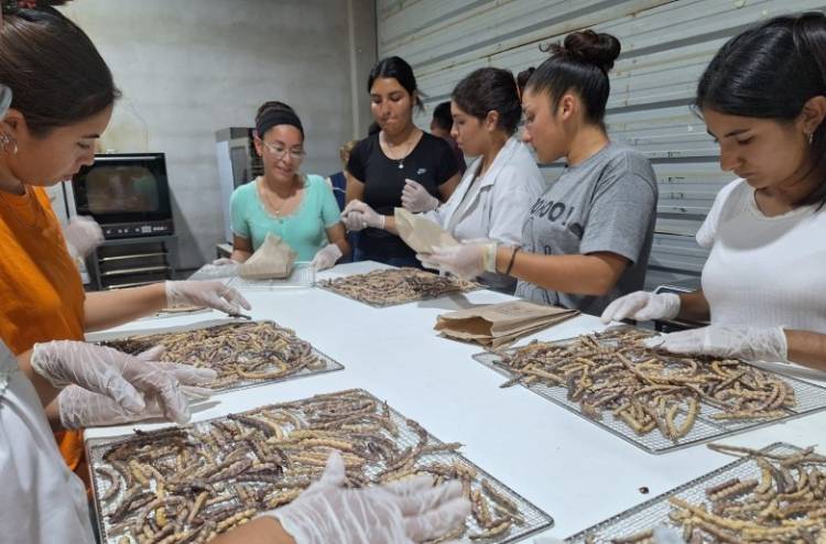 Una escuela de Valle Fértil modernizará herramientas para su producción de algarroba