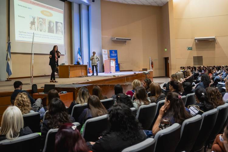 Educación completó el ciclo 2025 de formación a docentes de Nivel Inicial