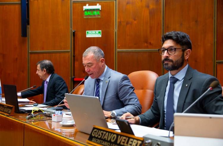 Cámara de Diputados, Segunda Sesión Especial: tratamiento exclusivo del Régimen de Zona Fría