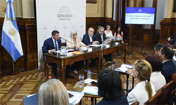 Orrego cerró el Plenario de Comisiones del Senado que analiza aclaraciones a la Ley de Glaciares