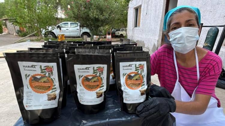 Fortalecen el uso sustentable del bosque nativo con la producción de harina de algarroba