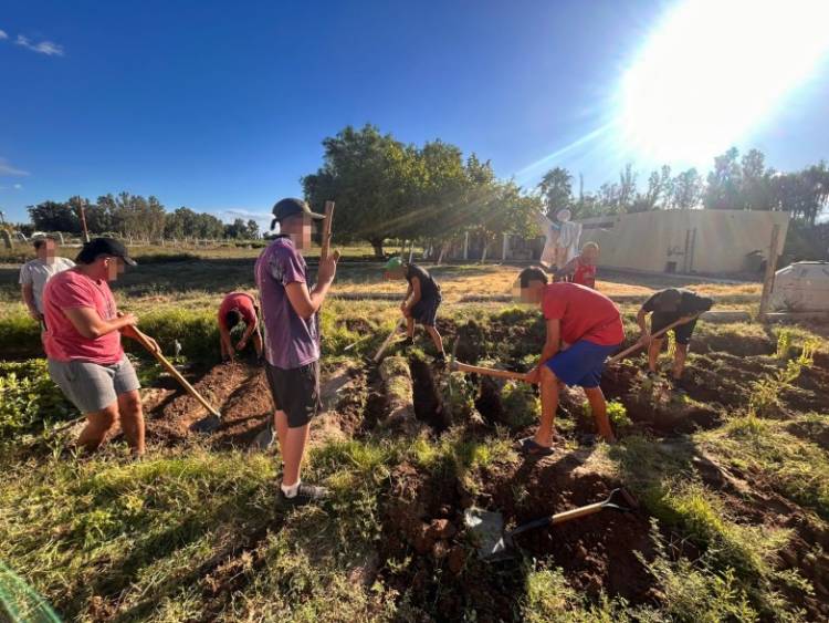 La huerta del Proyecto Juan y su aporte en tratamientos por consumos problemáticos
