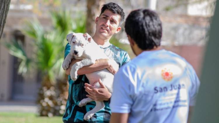 Realizarán operativos y actividades gratuitas en el marco del Día del Animal