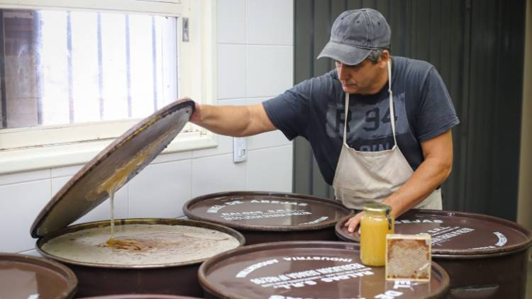 La XIV Semana de la Miel Sanjuanina tendrá una agenda completa de actividades