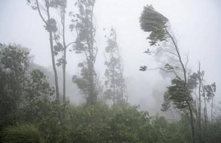 Alerta meteorológica: Se advierte la ocurrencia de fuertes vientos, para la madrugada y mañana de este miércoles 1 de julio.