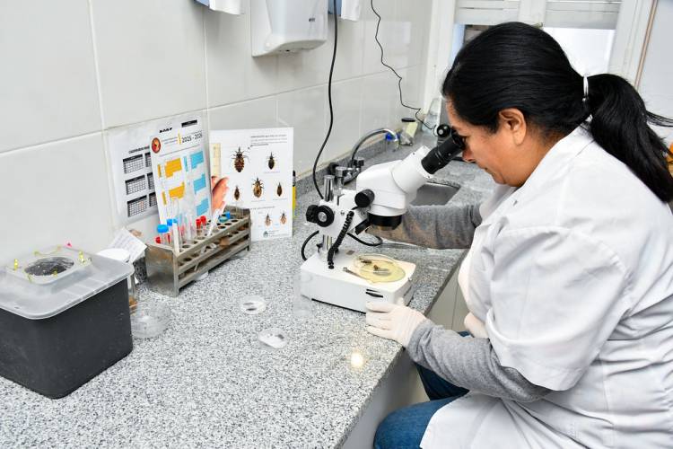 Salud transforma el Programa de Vectores en un centro especializado en Chagas