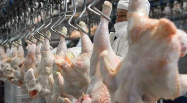 El pollo superó a la carne vacuna en consumo por primera vez