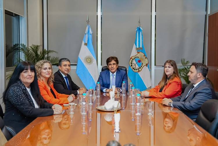 Nueva herramienta para matriculados: acceso digital a planos de mensura con validación oficial