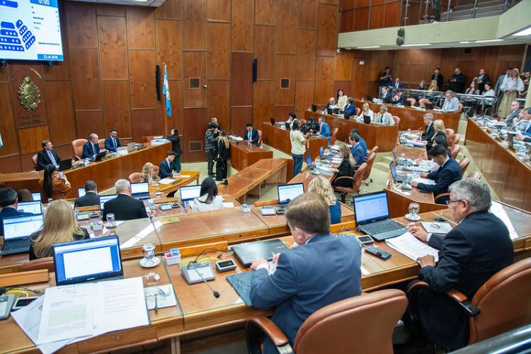 Luego de mucho tiempo e incontables pedidos, el diputado por Jáchal, presentó sobre tablas el proyecto sobre la protección de Pampa del Chañar
